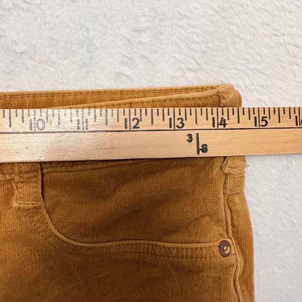 Anthropologie Pilcro High Rise Skinny Corduroy Pants Brown Button Fly Size 29